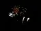 img20150825wa0005.jpg