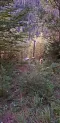 20180911_19.44.13.jpg