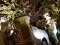 img20180912wa0039.jpg